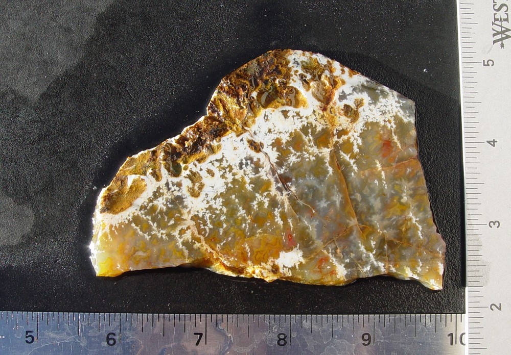 Graveyard Point Plume Agate   Lapidary Slab                   T1026