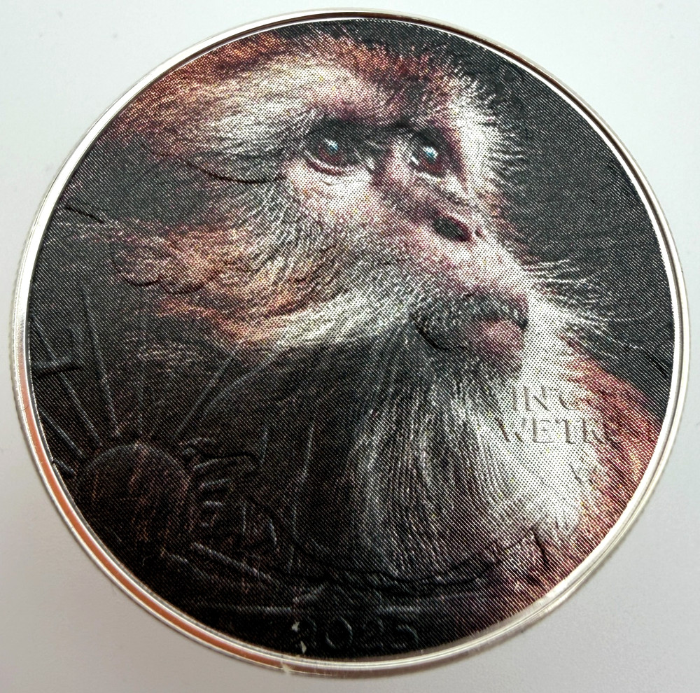 Curious Monkey - American Silver Eagle 1oz Limited Silver Dollar Coin