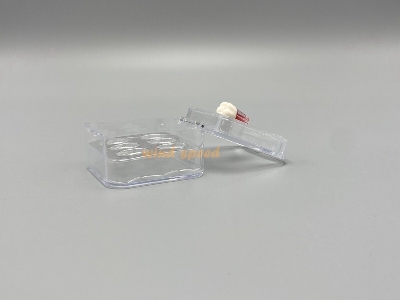 10× Display Chip Veneers Jewelry Box Membrane Retainer Denture False Teeth Case