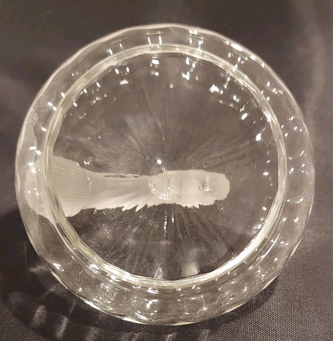 Fine Glass Sugar Bowl Frosted Shell/ Wave Handle
