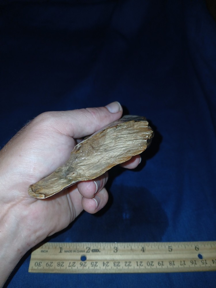 8.3 oz Texas Petrified Wood