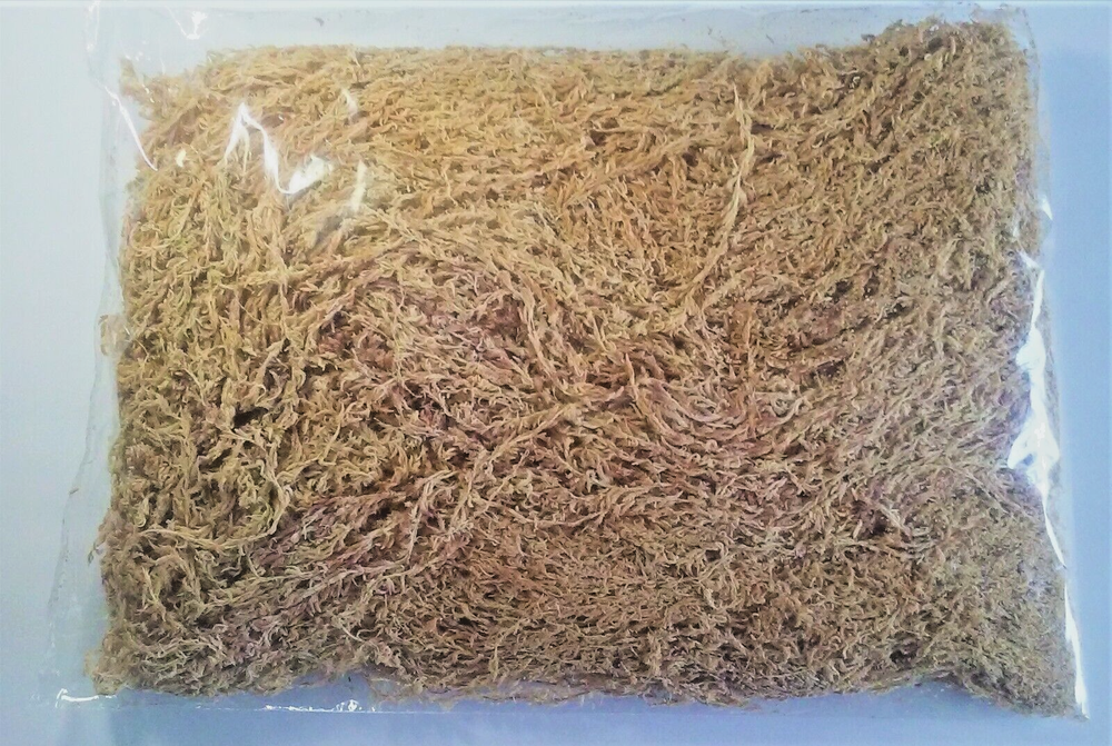 Peruvian Premium Long Strand Sphagnum Moss 5A, clean