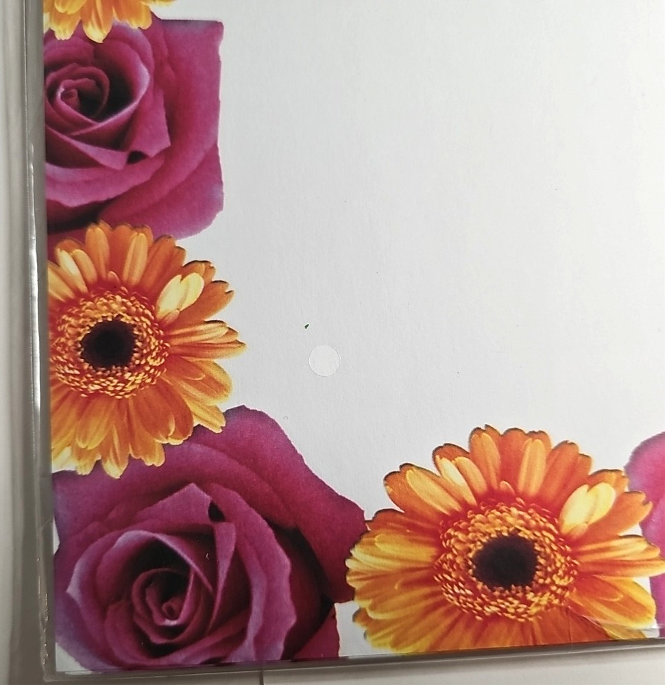 Computer Stationery ROSES & DAISIES ~16 Sheets 8.5" x 11"