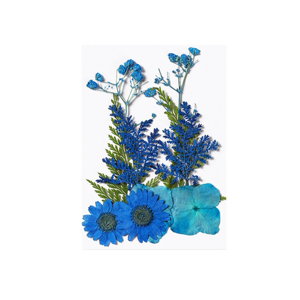 Dried Floral Material Packs Designed for Creative Home Decor Solutions
