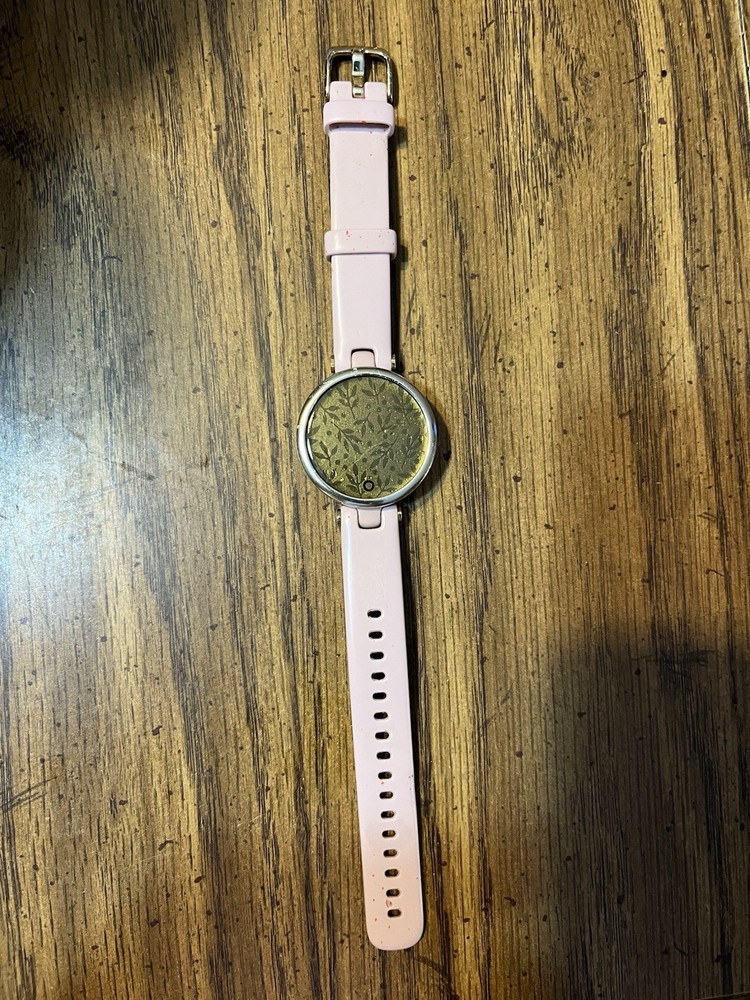Used Garmin Lily