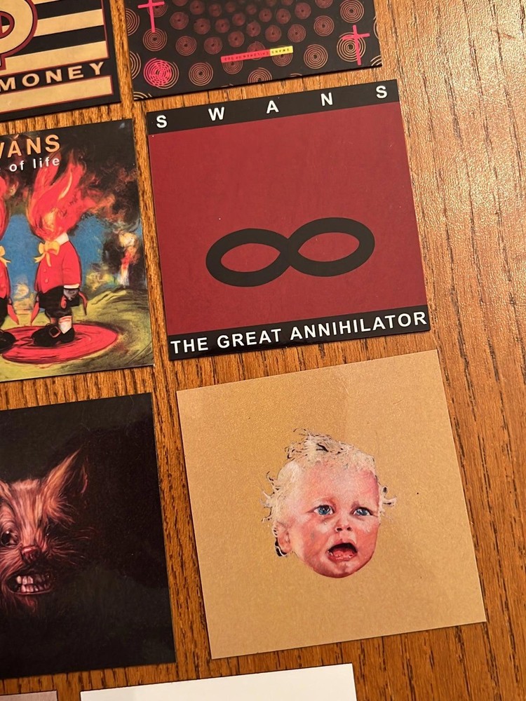 Swans fridge magnets