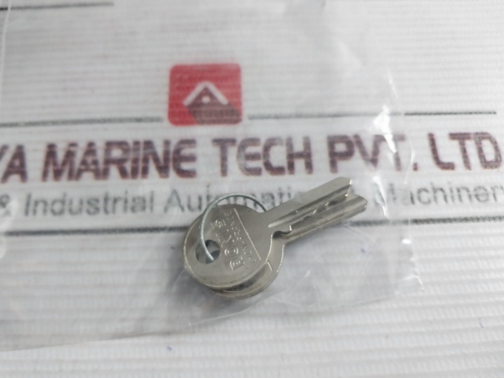 Hager SK 606 Key Switch 10A 400V