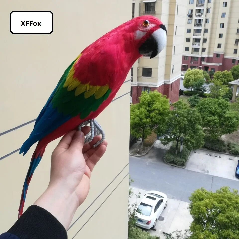 big simulation foam&feather red&blue parrot model bird gift about 60cm