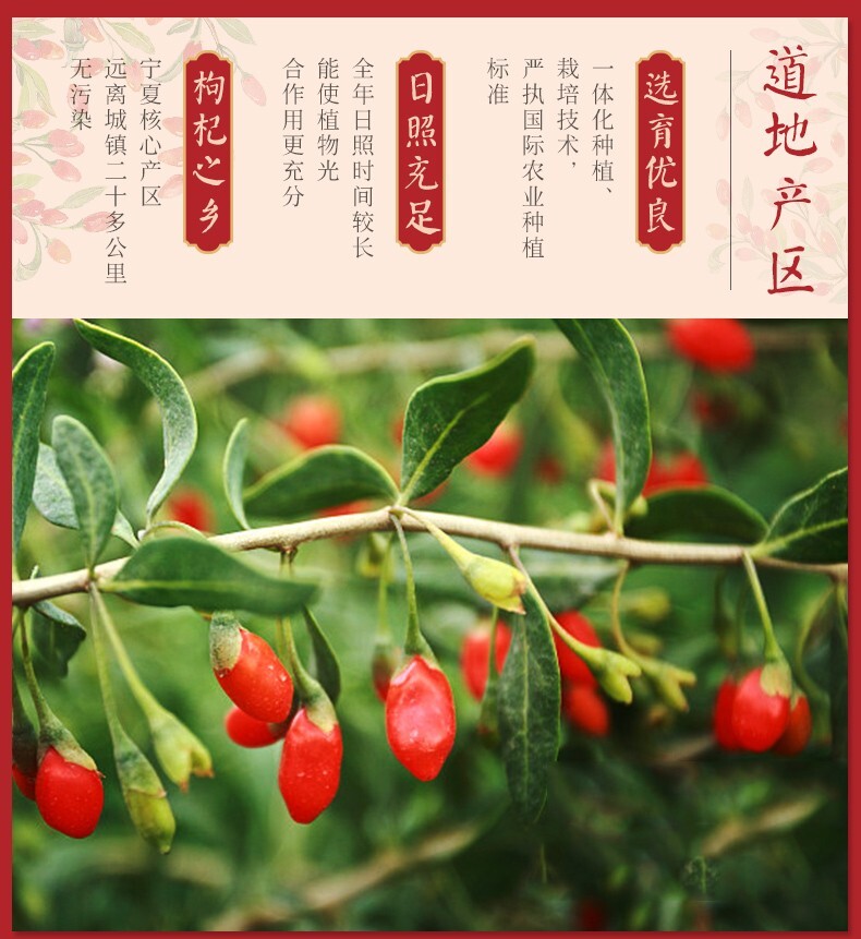 Wolfberry 150g/ bottle Ningxia 甄选 宁夏枸杞子 150g/瓶 煲汤泡水茶强男肾