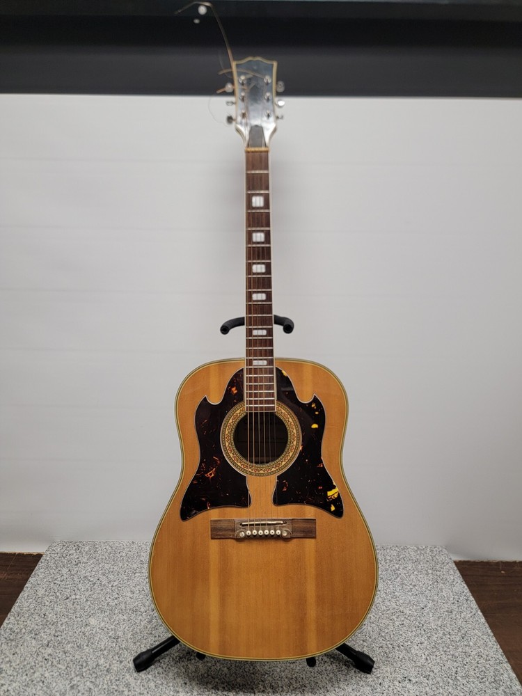 Checkmate G-300 6-String Acoustic Guitar