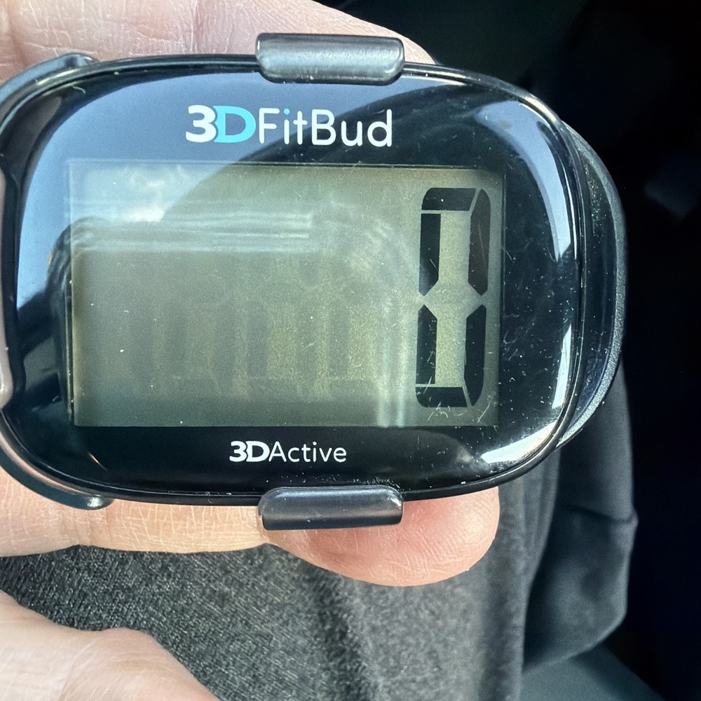 3DFitBud Simple Step Counter 3D Pedometer