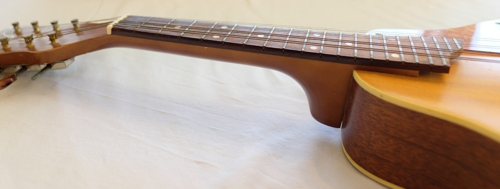 Vintage Silvertone Mandolin - Minor Defect - Sounds Decent