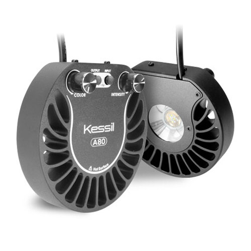 Kessil A80 Tuna Blue LED Light