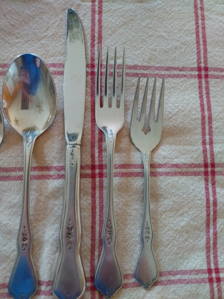 Oneida MORNING BLOSSOM PROFILE- Stainless Flatware - 5 Piece Set burnished