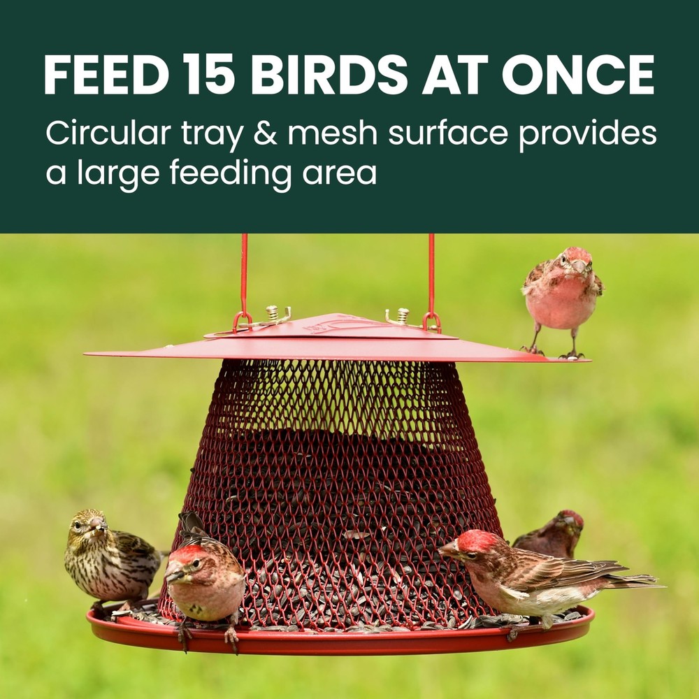 Perky-Pet Durable Wild Bird Feeder - 2.5 lb Seed Capacity - Feed 1 Pack, Red