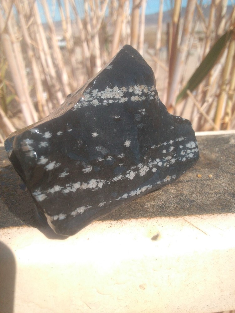 Snowflake Obsidian Rough Chunk Collect Or Display