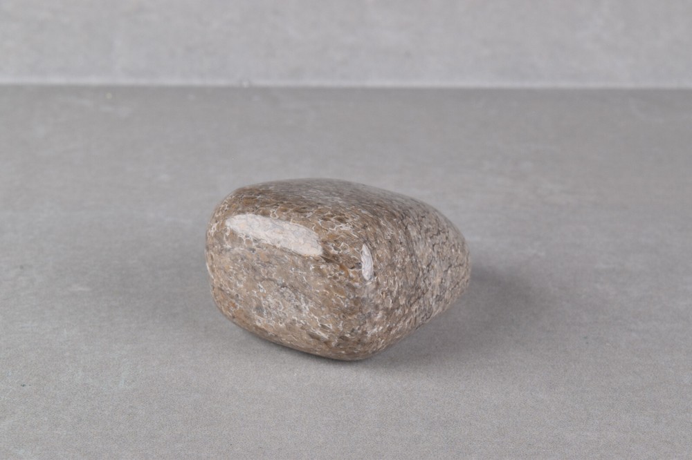 Fossilized Dinosaur Bone Polished from Morocco 4.0 cm # 19757