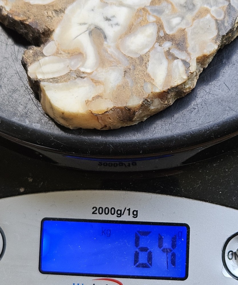 Common Opal With Dendrites Lapidary Slab 64 Grams