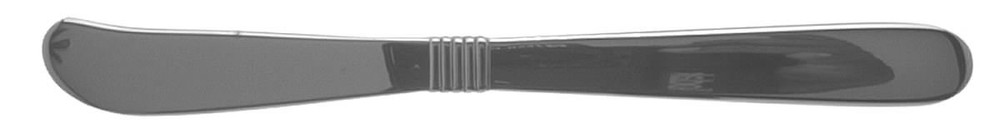 Oneida Silver Raffia  Flat Handle Butter Spreader 3637814