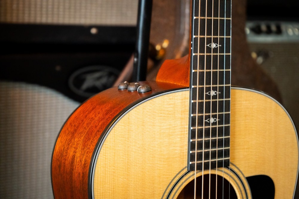 Taylor 317e with V-Class Bracing 2019 - Present - Natural