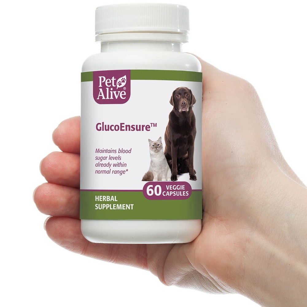 Native Remedies GlucoEnsure
