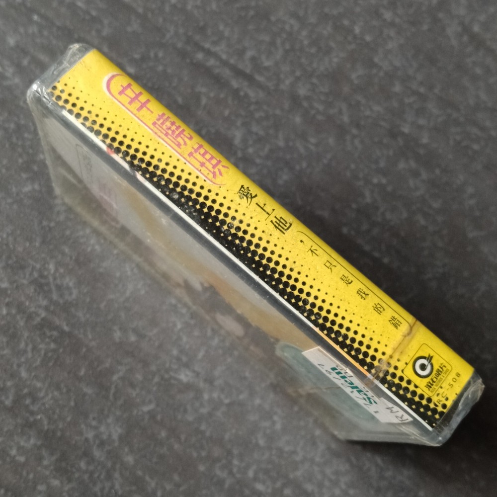 E- Winnie Hsin 辛晓琪 =不只是我的错= 马来西亚版磁带 未拆 Malaysia Cassette Sealed