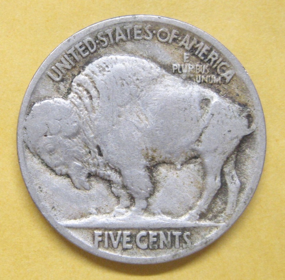 1919 Buffalo Nickel Take a Look