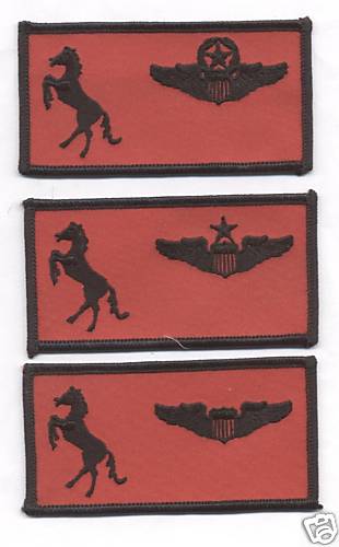 25th TASS PILOT WINGS patch