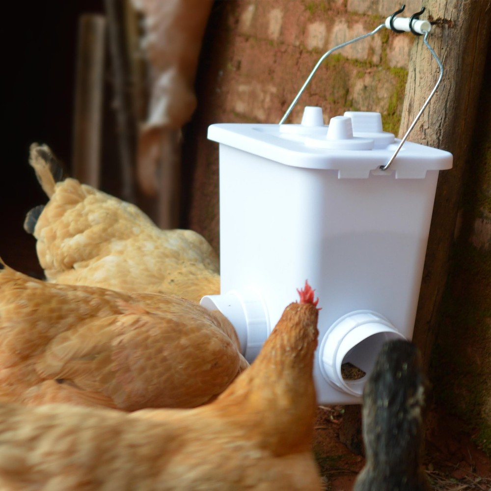 Automatic Chicken Feeder and Waterer Set Hanging No white