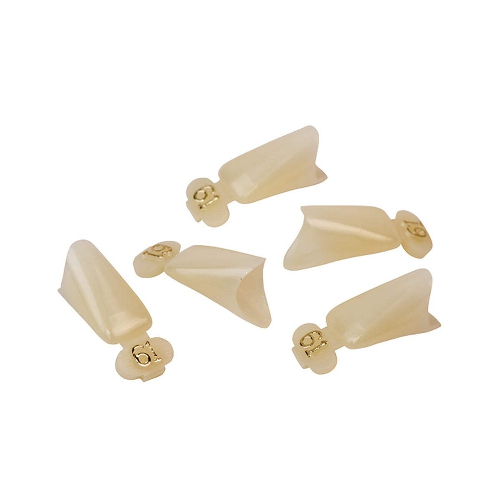 Dexiter Polycarbonate Temporary Crowns (Lower Anterior Long)