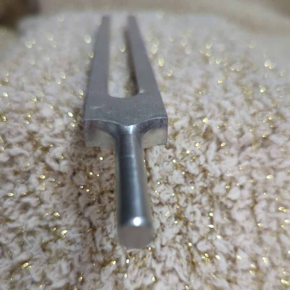 vintage tuning fork.  marked C-256 SCISOCO