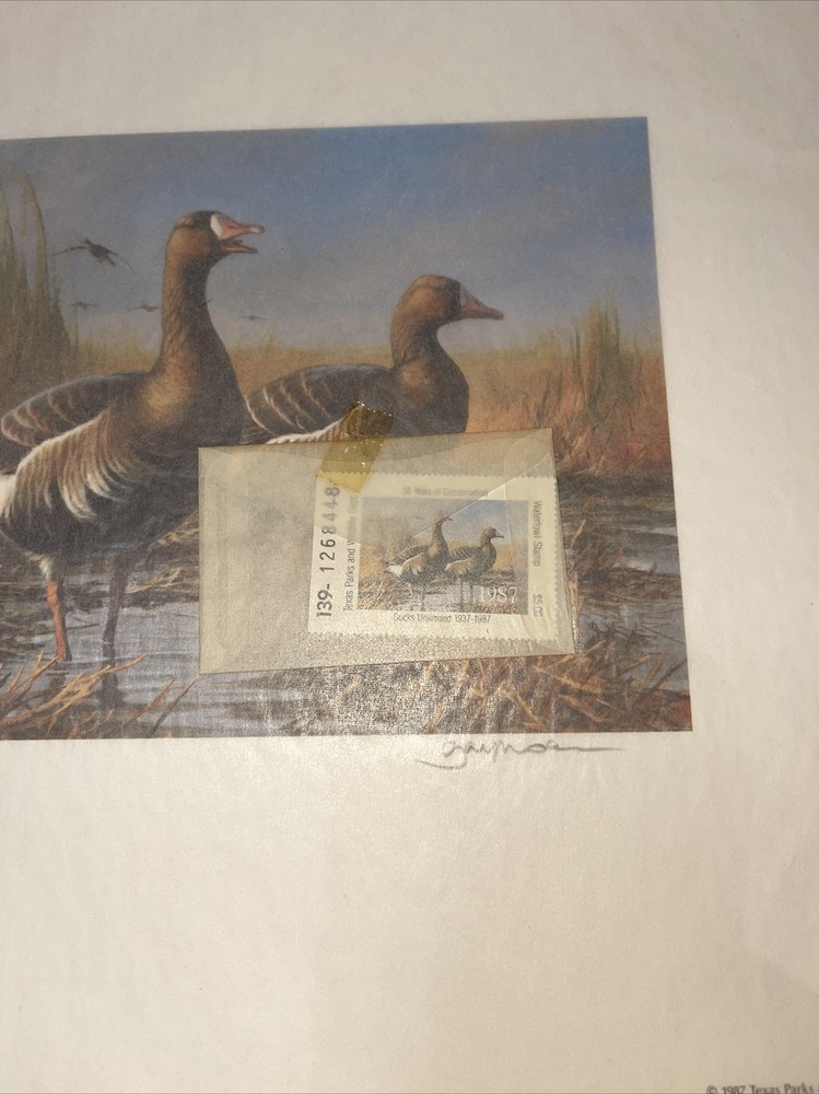 1987 TEXAS State Duck Stamp Print GARY MOSS with Stamp