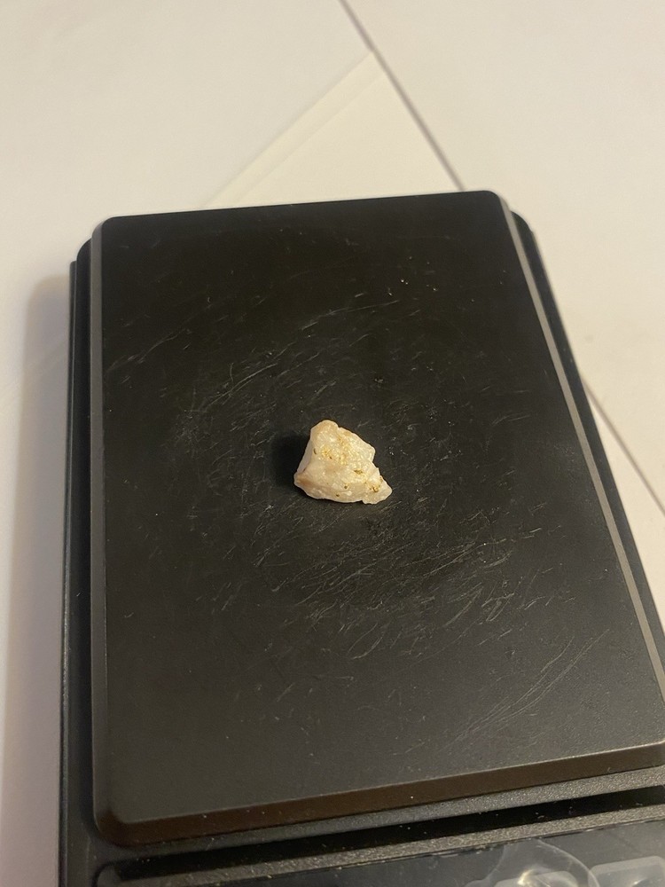 Gold In Quartz Specimen, .9 grams