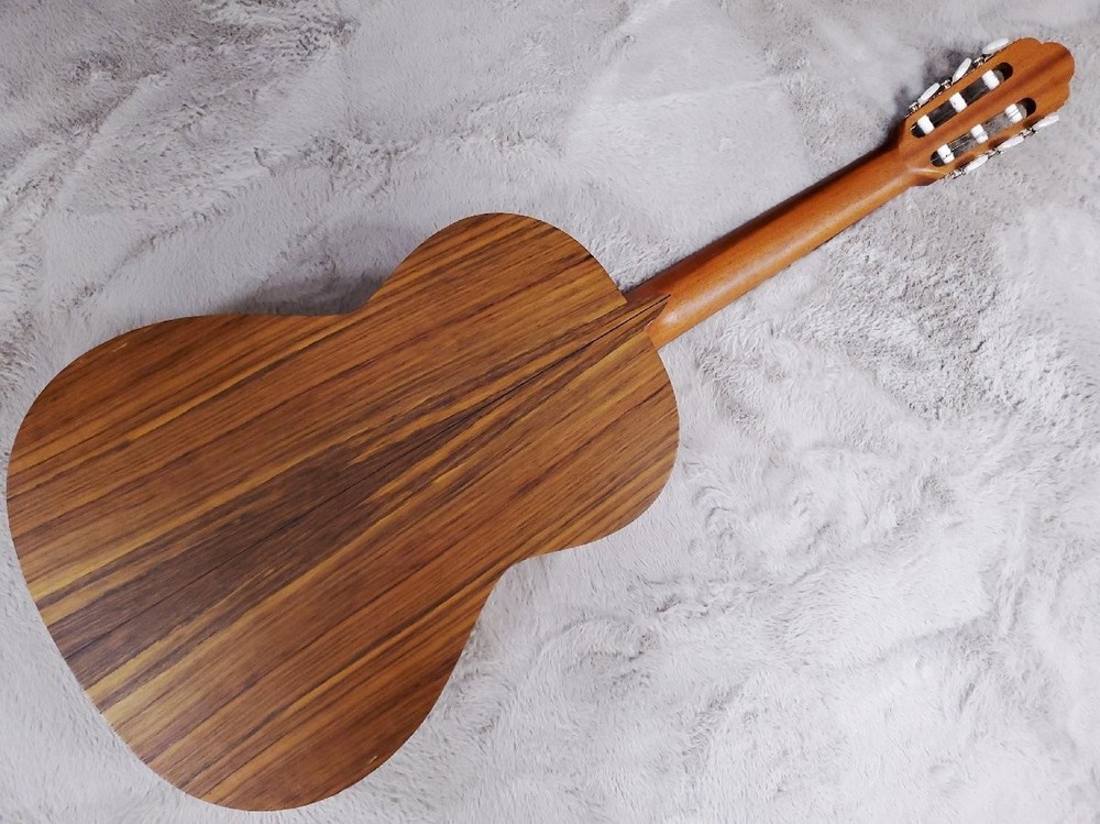 Esteve TURIA Spanish Classical Guitar Soft Case