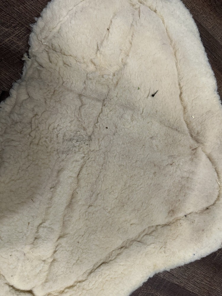 Horse Tack - Toklat Bareback Pad