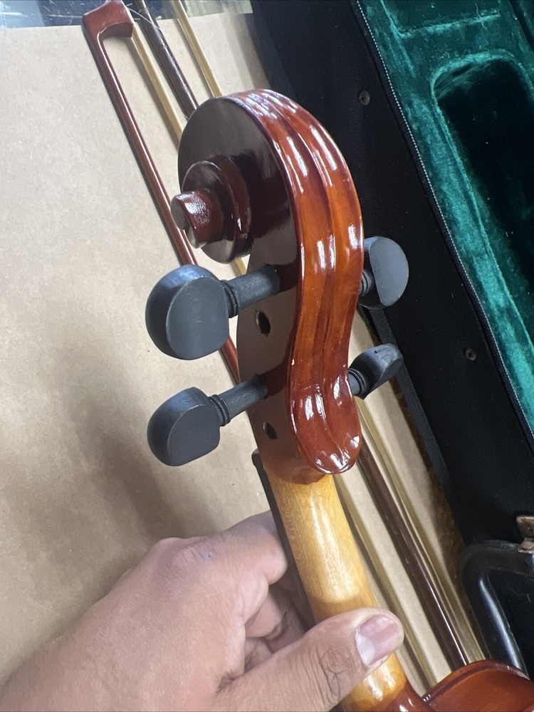 Parrot | Art No. 19 | Violin With Case