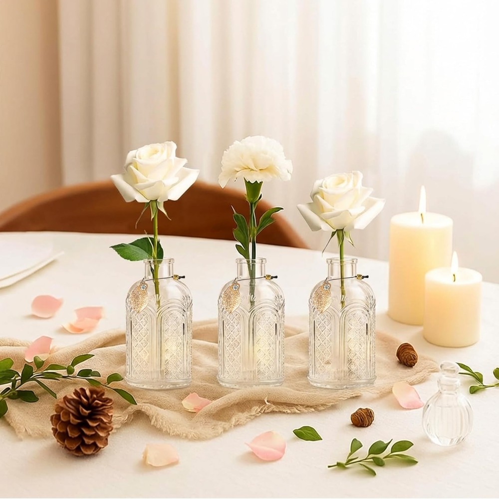 Glass Reed Diffusers Bottles for Home, Diffuser Bottles with 20PCS Reed Diffu...