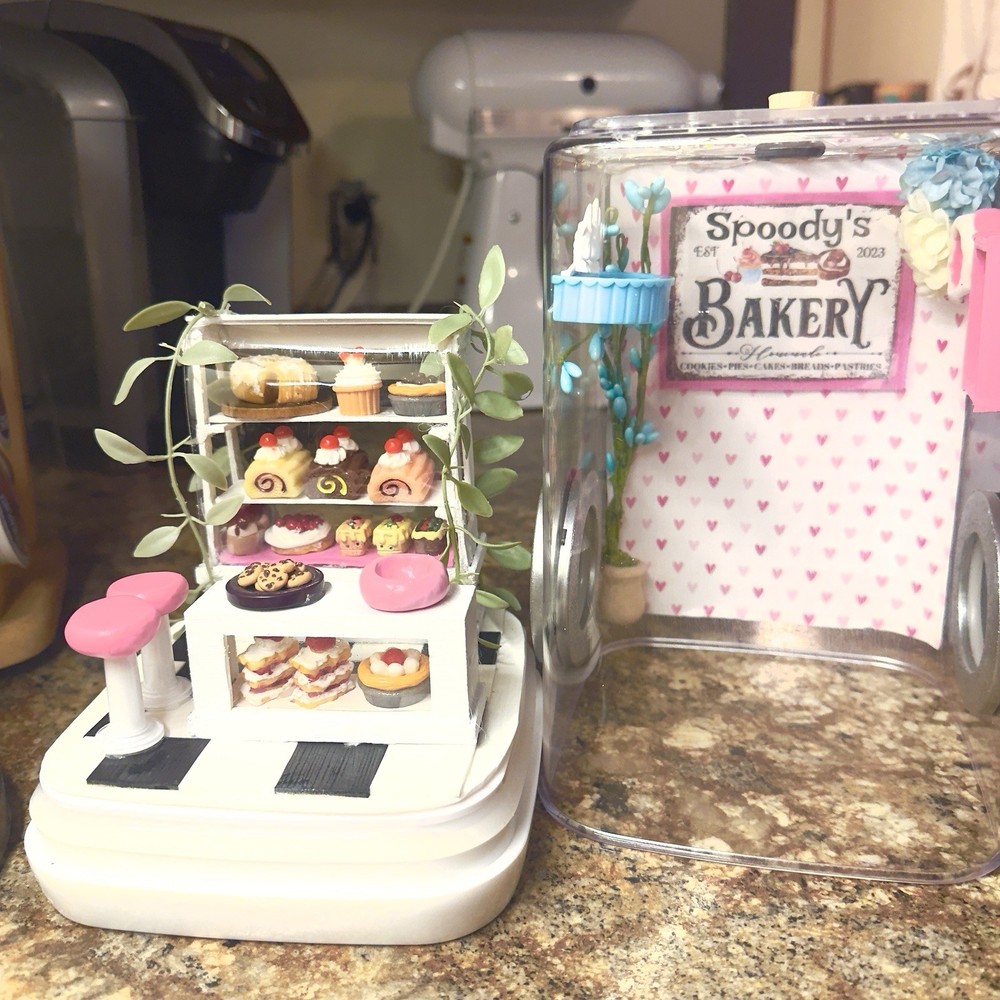 Jumping Spider Enclosure Bakery Themed Handmade