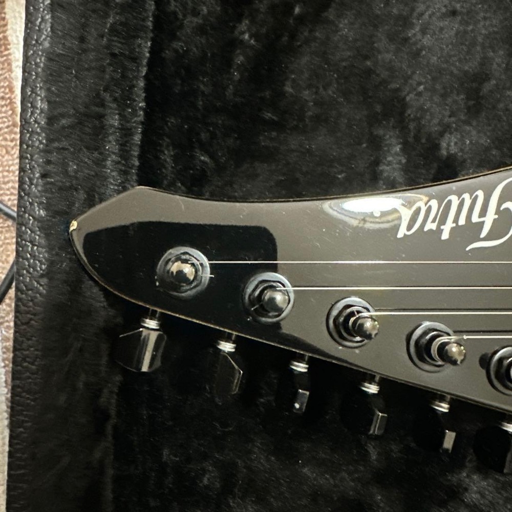 Futra/Mr. Nishio collaboration model, many customizations