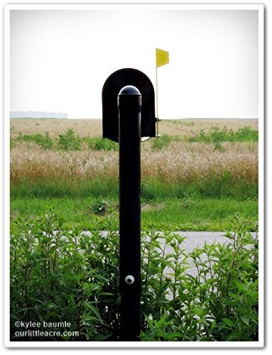 Mail Tattle-Tail Mail Alert Flag