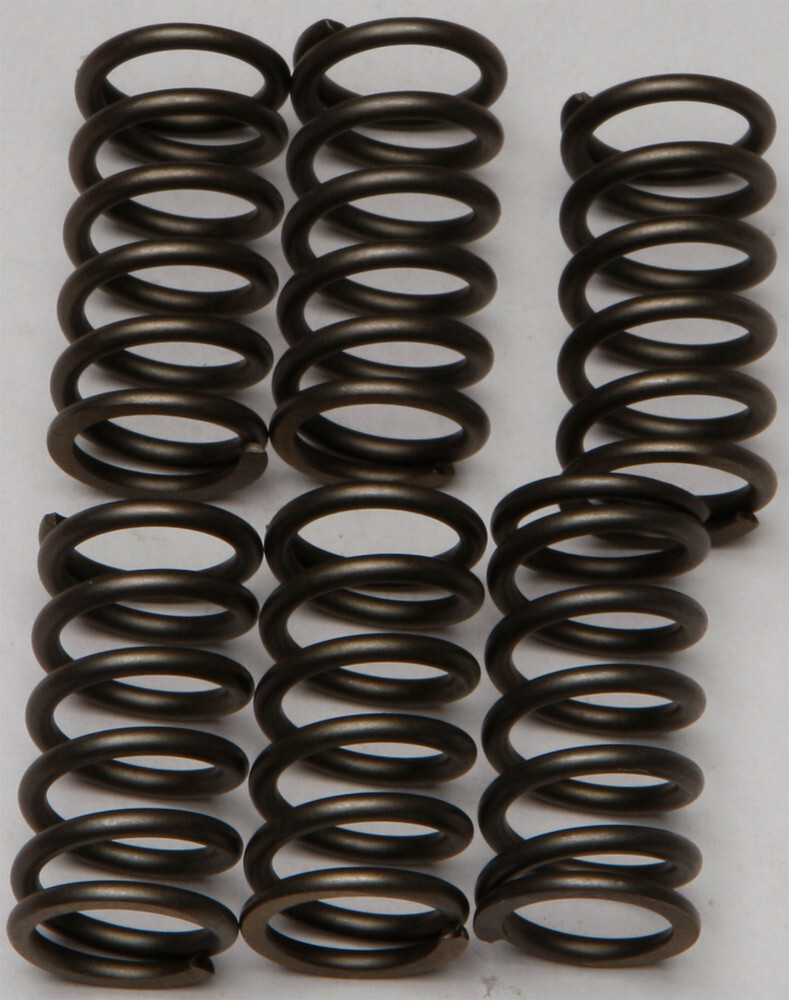 EBC CSK Clutch Spring Kit CSK159