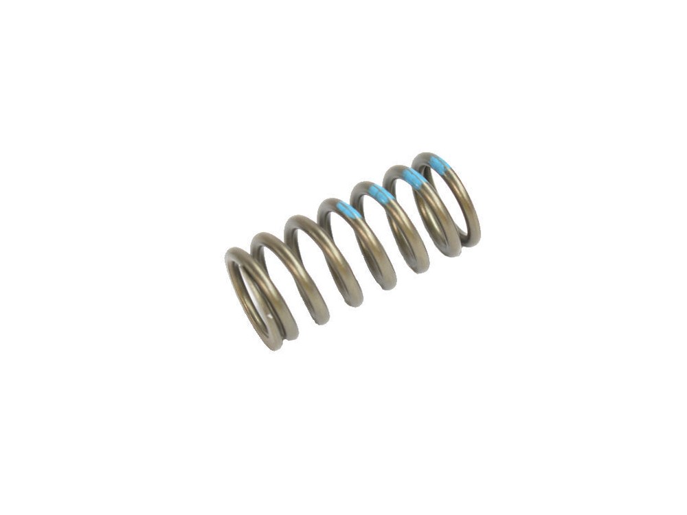 Engine Valve Spring Mopar 68228164AA