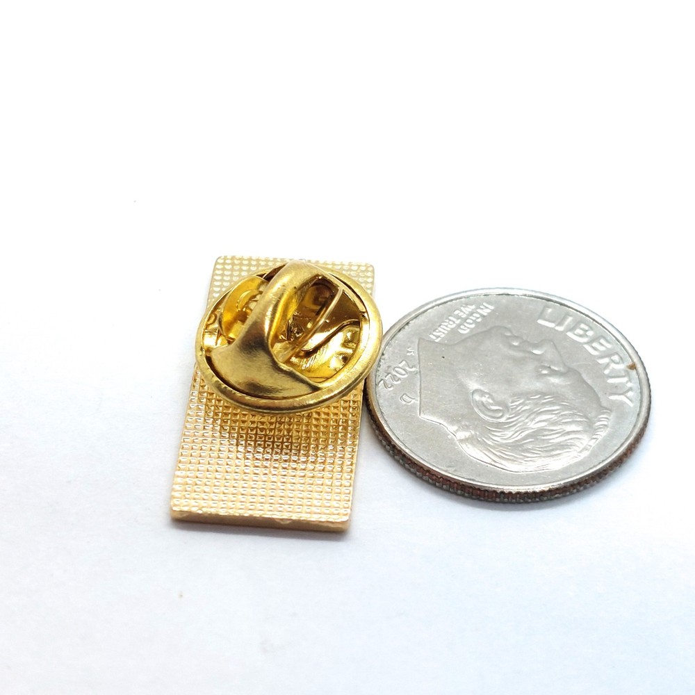Leading Security Evolution Company Improvement Training Program Pin