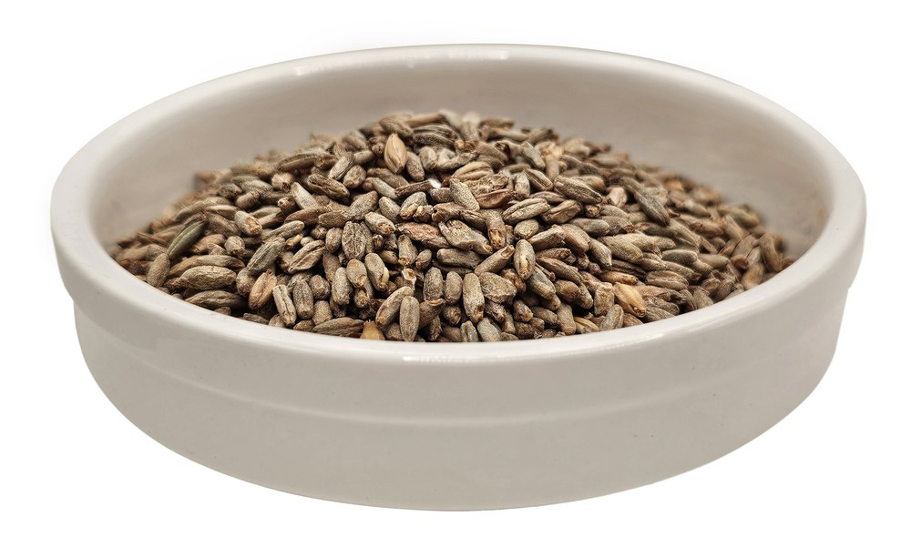 Home Brew Ohio Rye Grain 5lb