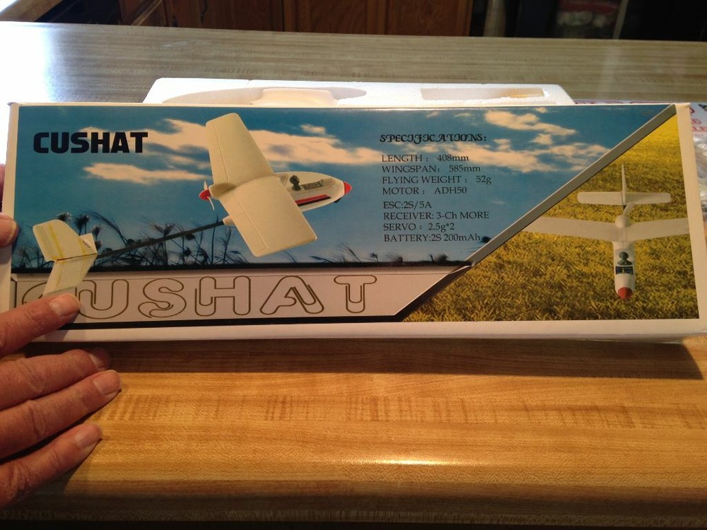 Cushat RC Pusher Glider Airplane - PNP Version