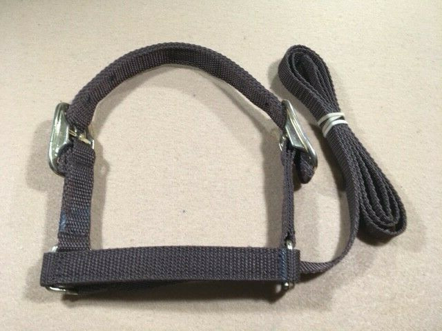 Lamb Halter - 3/4" - Brown Webbing - Medium - Pack of 2  (B210)