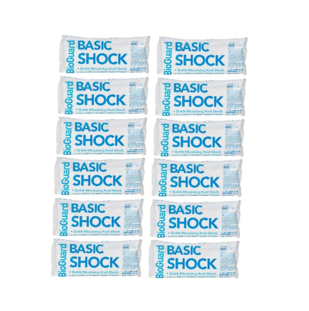 BioGuard Basic Shock (1 lb) (24 Pack)