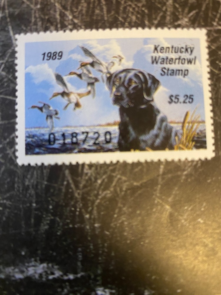 1989 Kentucky State Duck Stamp,