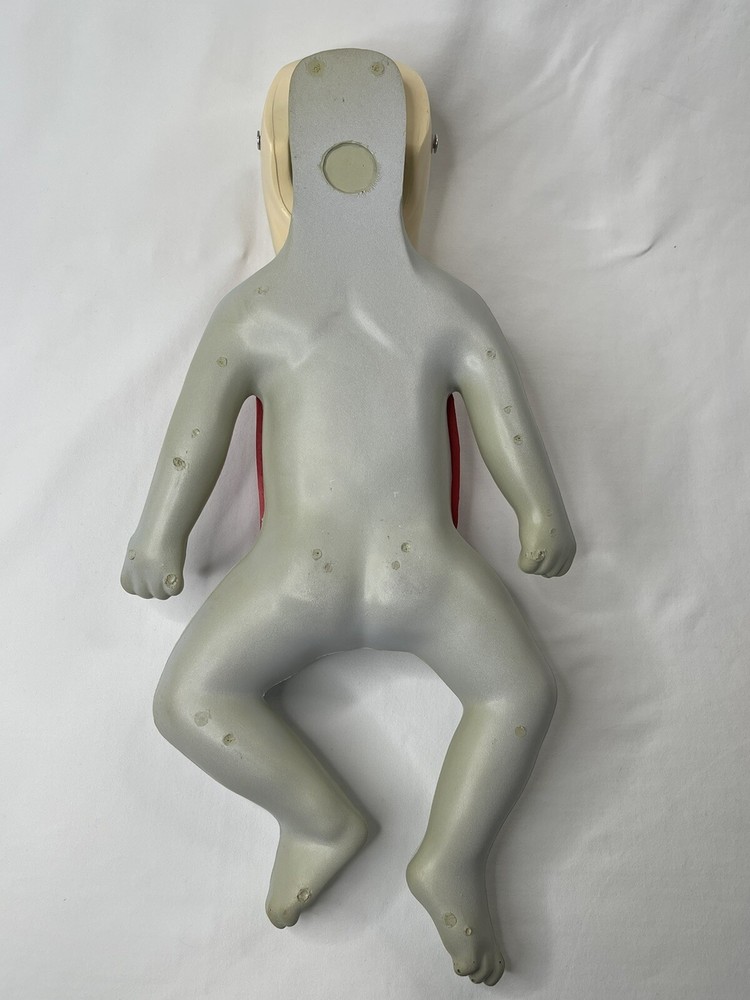 Nasco Life/form Basic Buddy+Baby Training CPR Dolls Dummy Manikin W Introduction