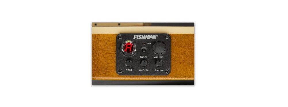 ESP LTD TL-6N - Natural Nylon String